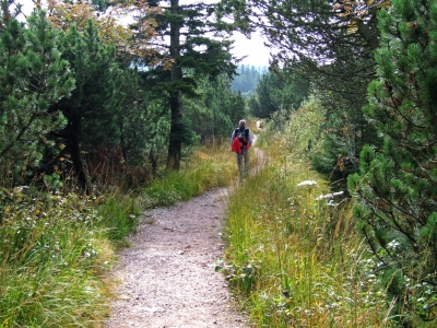 Westweg-Wanderer beim Schliffkopf