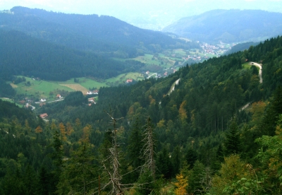 Nordschwarzwaldtal bei Seebach
