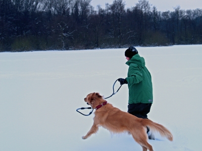 Mädchen mit Hund 3