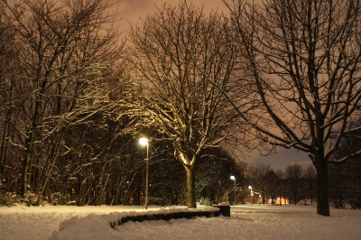 Schnee im Park