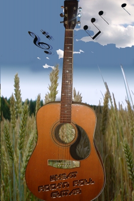 Wheat Guitar