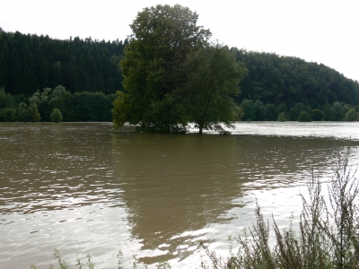 Hochwasser Bild 2
