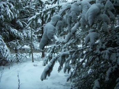 Winter in Bispingen