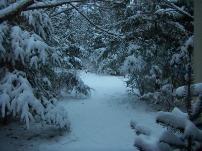 Schnee kann so schön sein