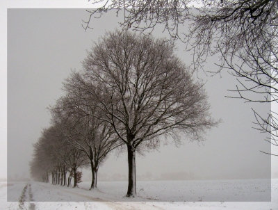 Winterliches Münsterland