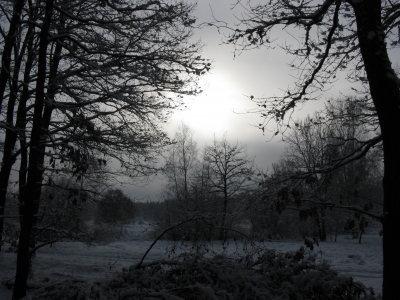 Endlich Schnee im Grunewald 11