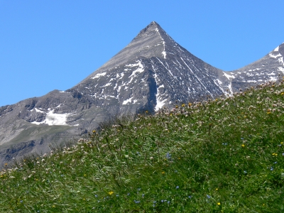 Berg 2