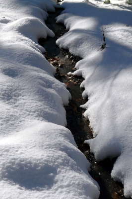 Rinnsal im Schnee