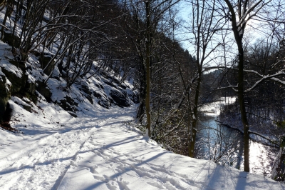 Winter-Wald-Weg #8