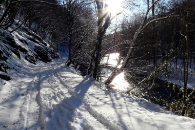 Winter-Wald-Weg #9