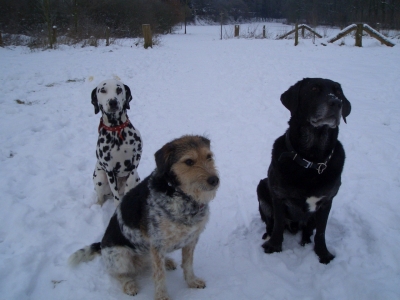 Lucy und ihre Freunde im Schnee