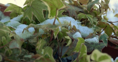 Winter auf dem Balkon 4