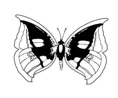 Werkzeugspitze - Schmetterling