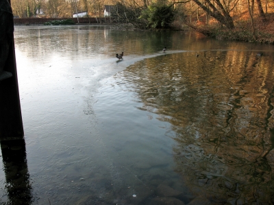 Schloss Heiligenhoven_0015