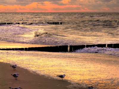 Abendlicht am Strand