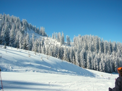 Auf der Reiteralm 9