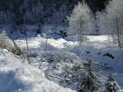 Winterlandschaft