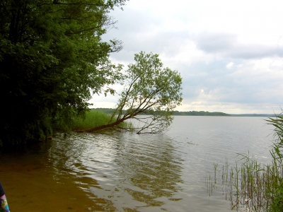 Groß-Schauener See