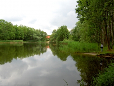 Waldsee