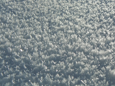 Schneekristalle in der Mittagssonne