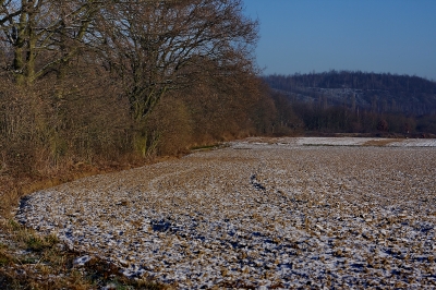 Winter im Broichbachtal 01