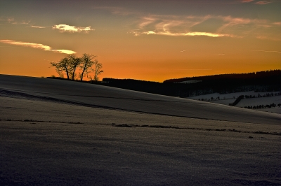 Winterabendlicht