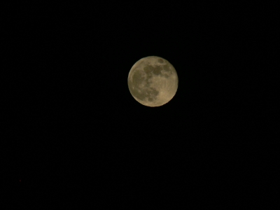 Vollmond Bild 4