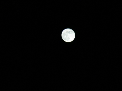 Vollmond Bild 5