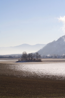 Eine Insel im Feld..