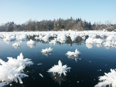 Zugefrorener See mit Eiskristallblumen