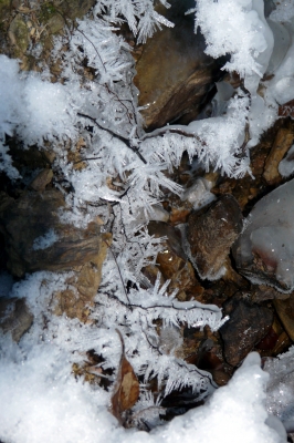 Eiskristalle am Bachlauf