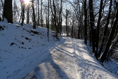 Winter-Wald-Weg #17