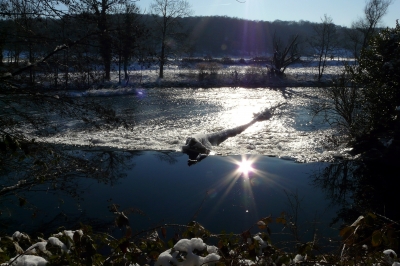 Winter an der Wupper #18