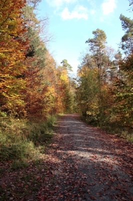 Herbstweg