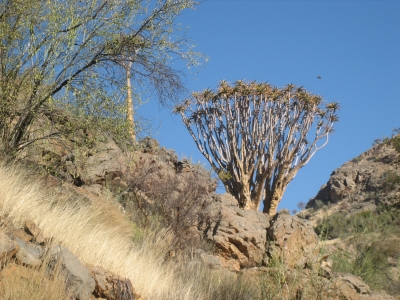 Namib Naukluft-Park