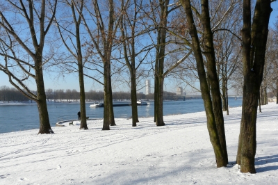 Winter am Rhein bei Bonn