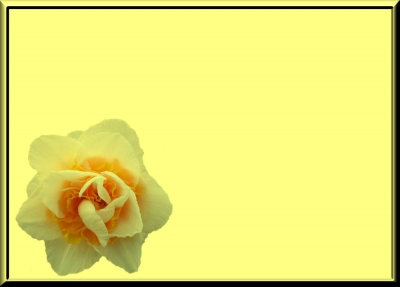 Hintergrund Blumen 86