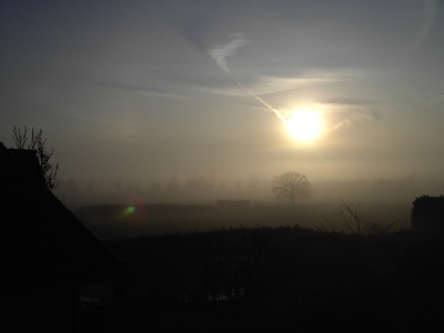 frühe Sonne irrt durch den Nebel