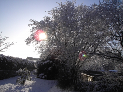 Sonne über Schneegarten