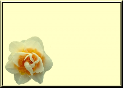 Hintergrund Blumen 87