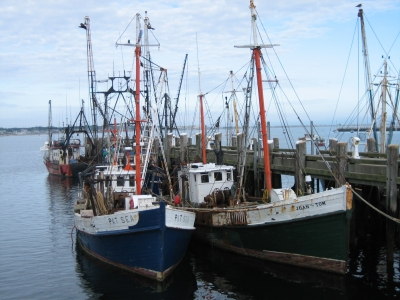 Provincetown Harbor