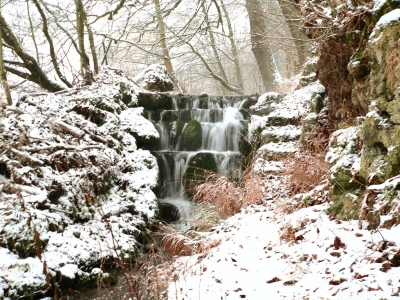 Wasserfall im Wald von  Königslutter