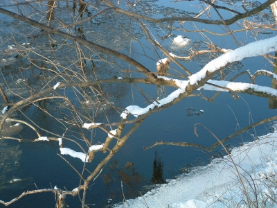 Winter an der Saale