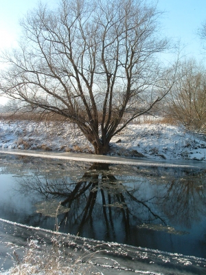 Winter an der Saale