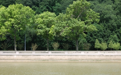 New York Promenade 1