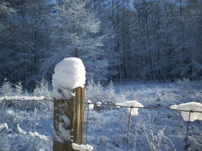 Winterlandschaft3