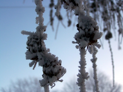 Kalter Wintermorgen