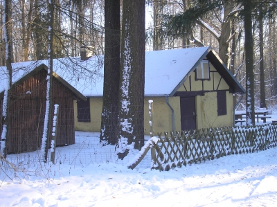 ein Haus mitten im Wald