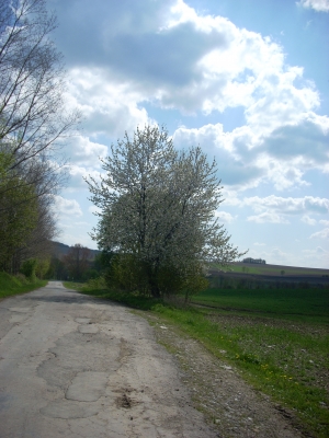 Weg oder Strasse