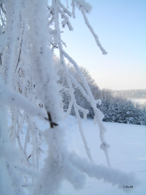 Des Winters Schönheit.